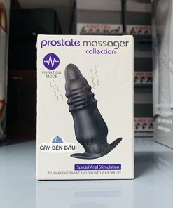 Butt Plug Prostate Massager