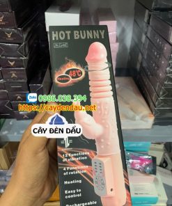 Duong Vat Baile Hot Bunny Phat Nhiet 48 Do