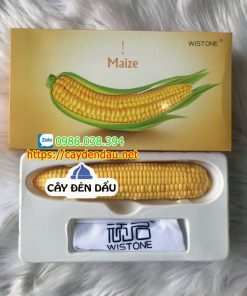 Duong Vat Gia Trai Bap Wistone Maize