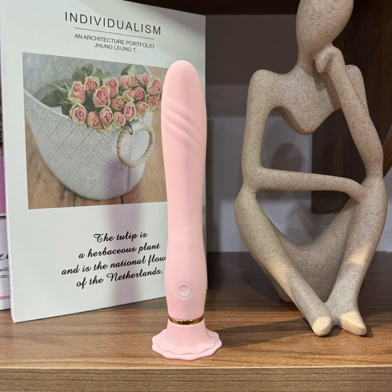 Que rung massage đa năng Galaku Ballet 10 chế, hít tường